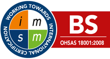 Bs Ohsas 18001 Badge Large